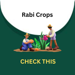Rabi crop poster
