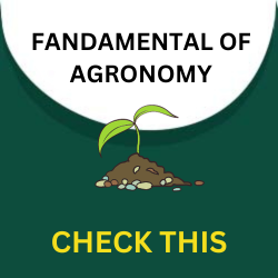 FUNDAMENTAL OF AGRONOMY POSTER